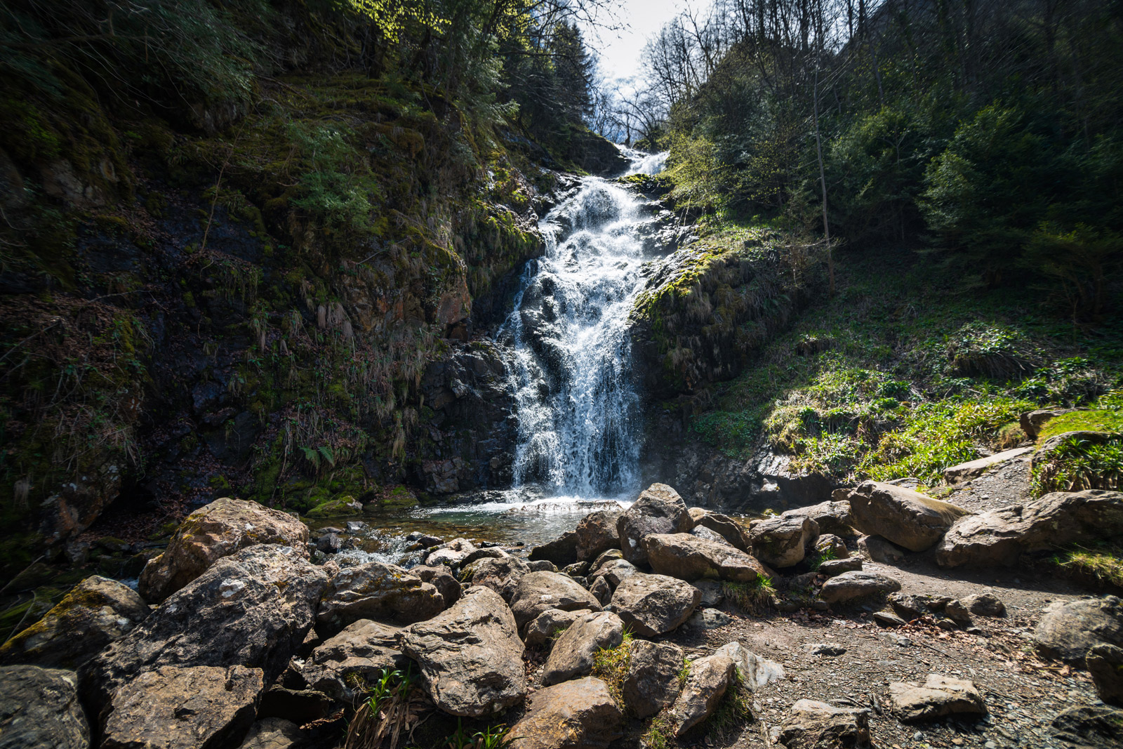 PARC NATUREL RÉGIONAL DES PYRÉNÉES ARIÉGEOISES