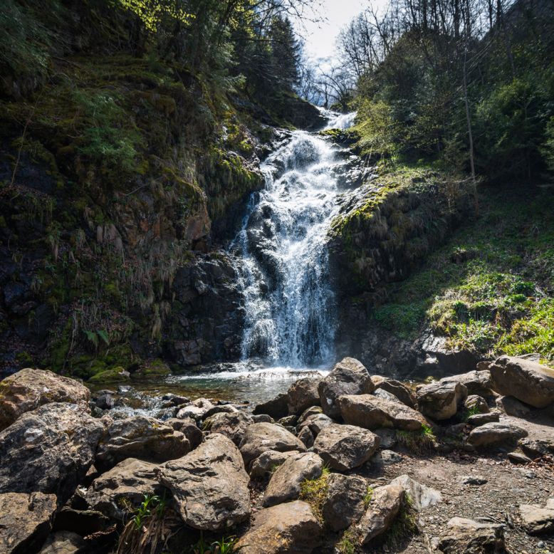 Parc naturel régional des Pyrénées Ariégeoises