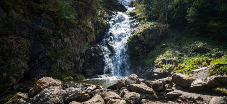 Parc naturel régional des Pyrénées Ariégeoises