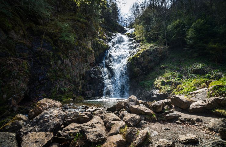 Parc naturel régional des Pyrénées Ariégeoises