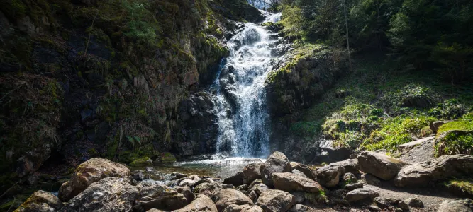 Parc naturel régional des Pyrénées Ariégeoises