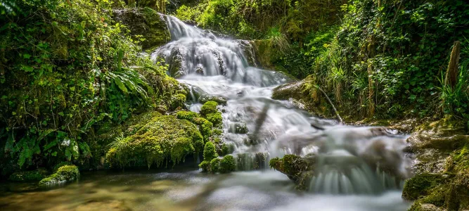Les cascades de Roquefort-les-Cascades