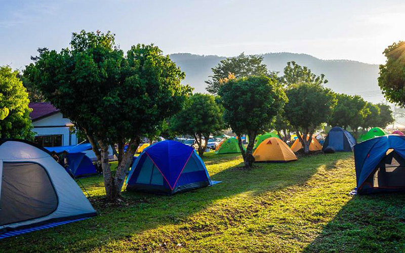 Camping municipal Les Vignes