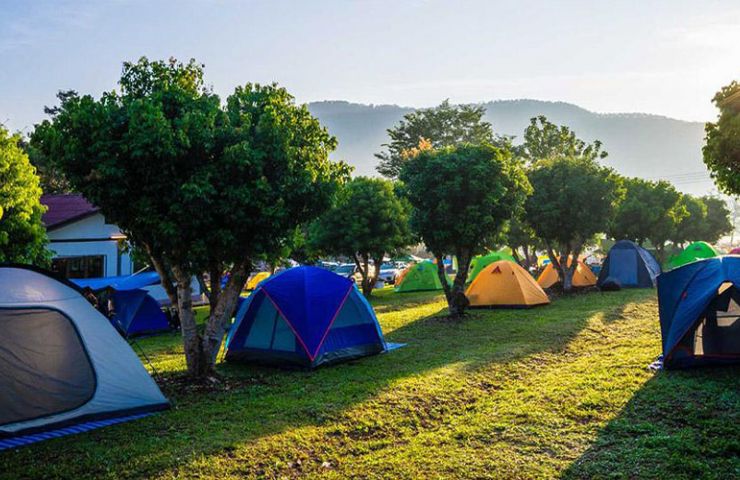 Camping municipal Les Vignes