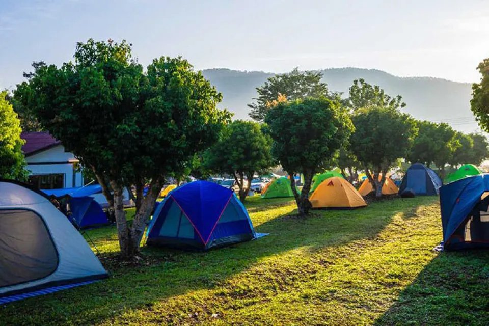 Camping municipal Les Vignes
