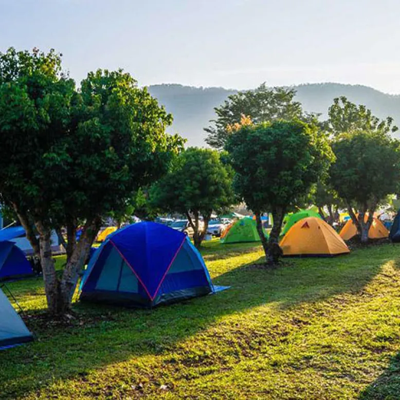 Camping municipal Les Vignes