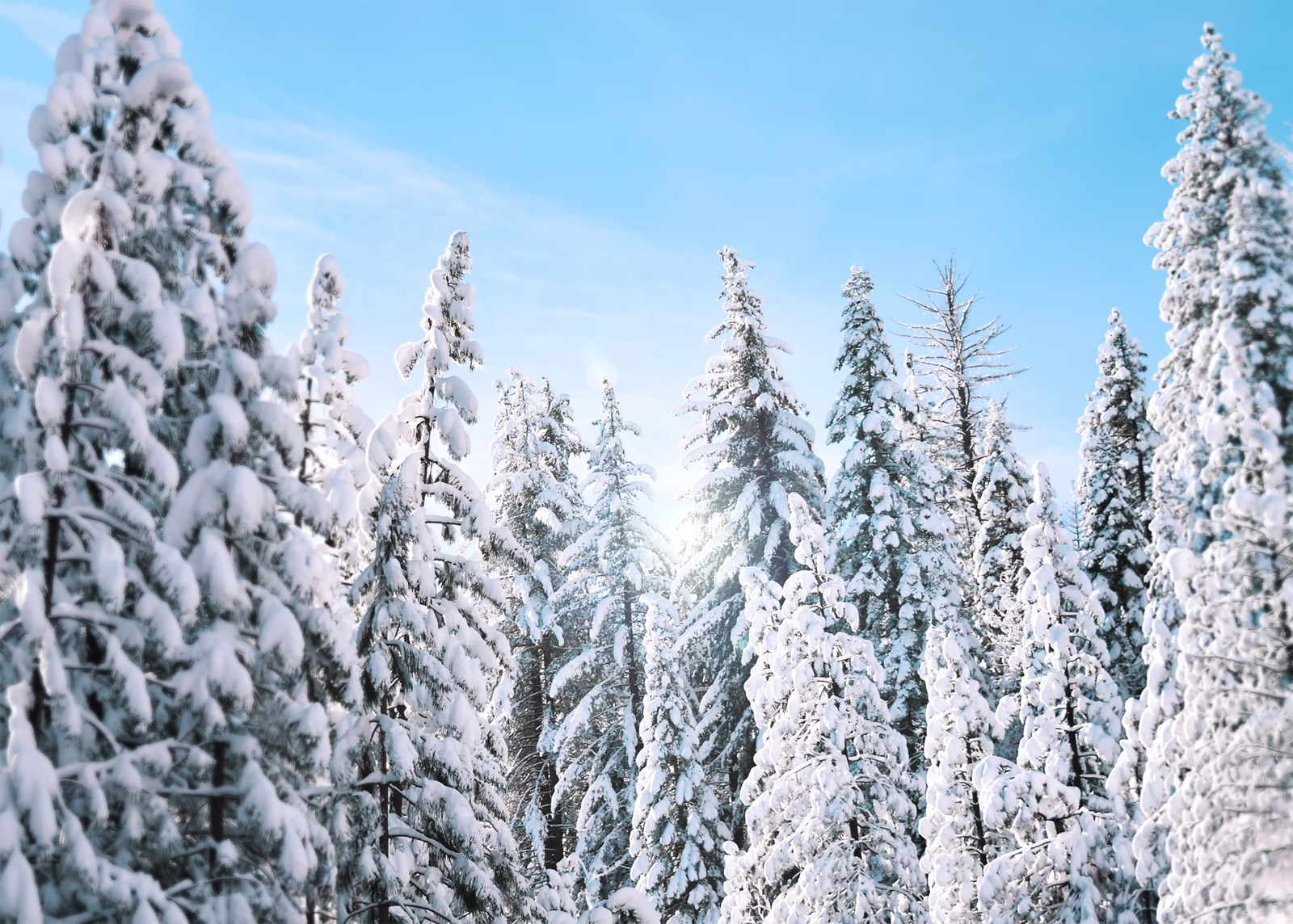 © Stanley Dai / Unsplash