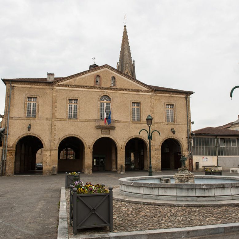 Discover the towns and Villages in ToulousePyrénées in TriesurBaïse
