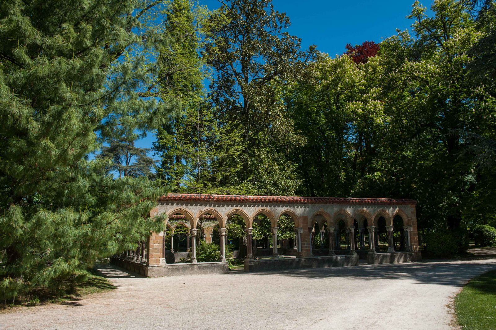 JARDIN MASSEY