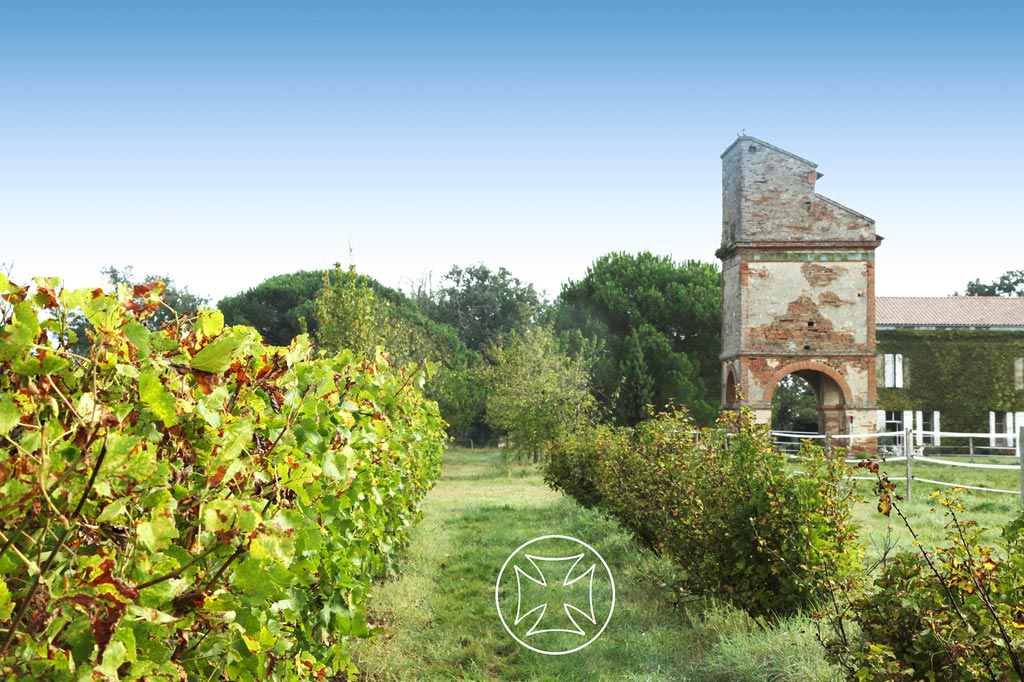 Vignoble de Fronton