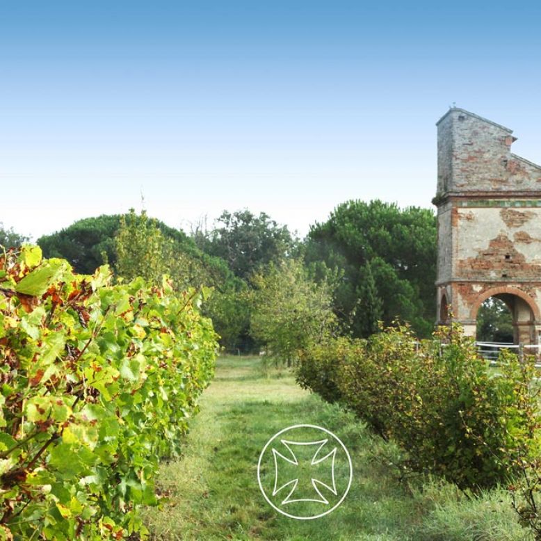 Vignoble de Fronton