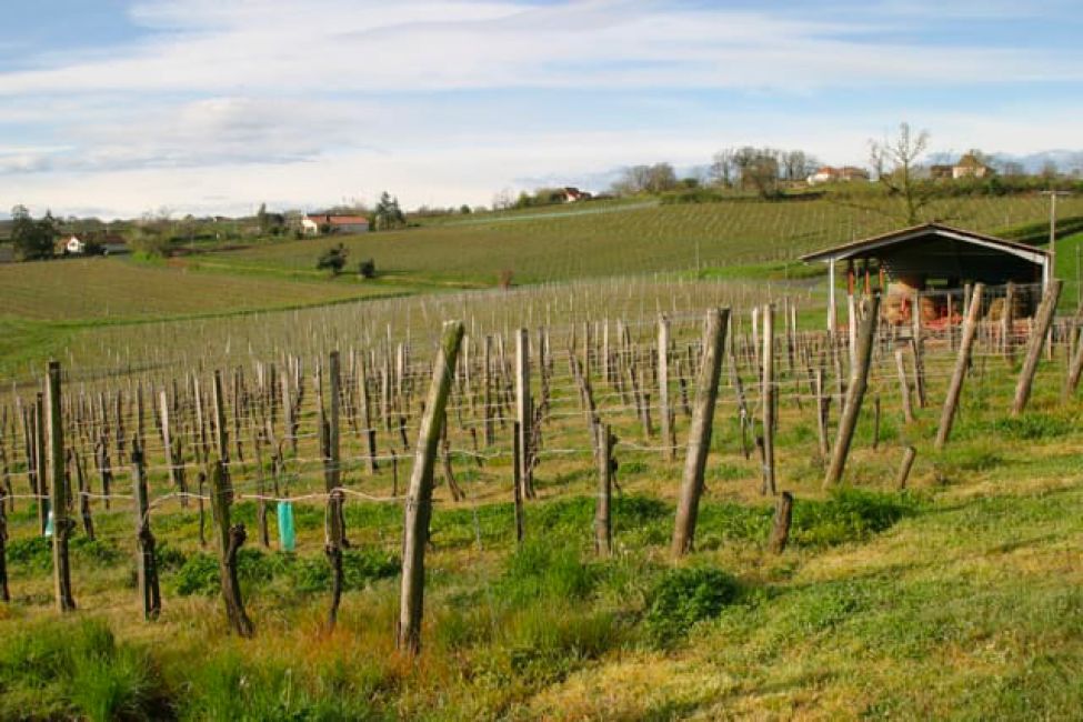 Domaine Dou Bernès