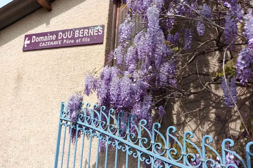 Domaine Dou Bernès
