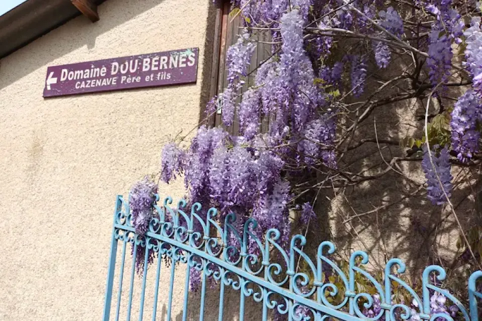 Domain Dou Bernès