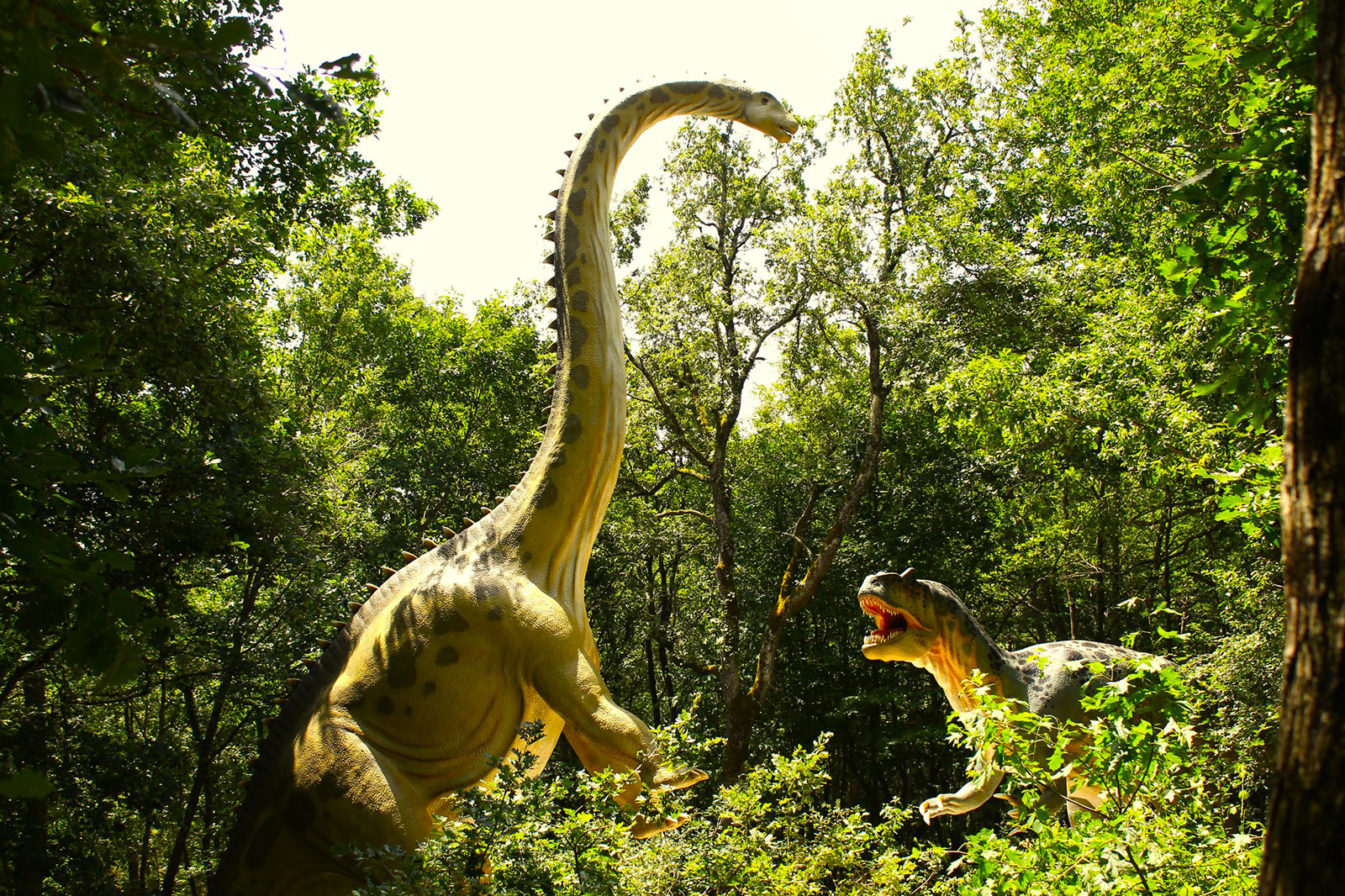 AnimaParc® Occitanie