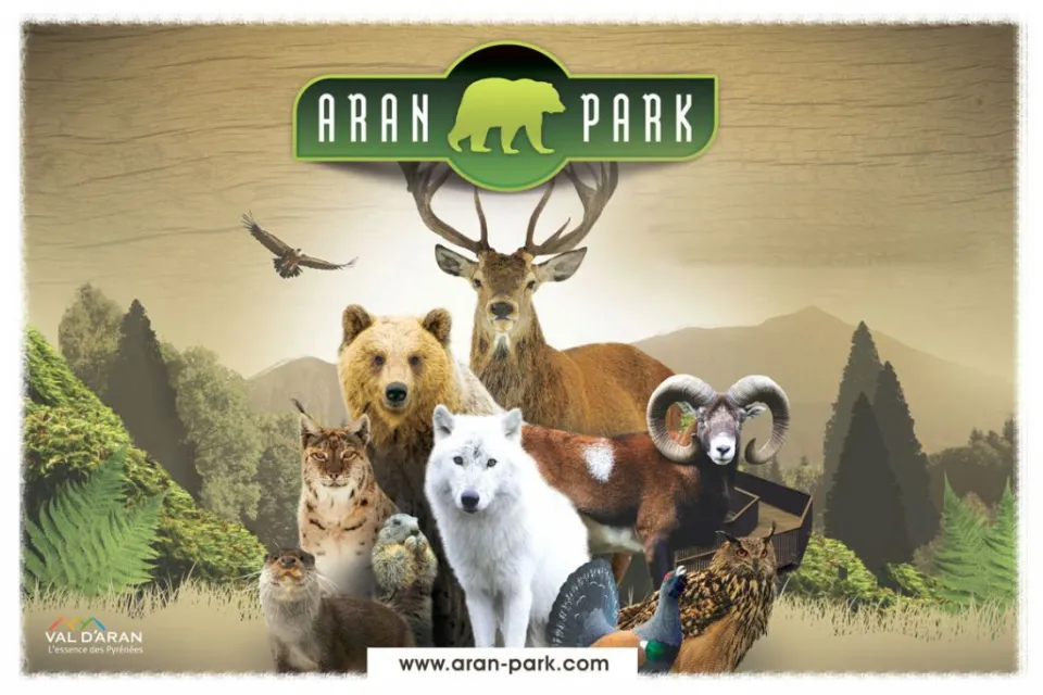 Aran Park