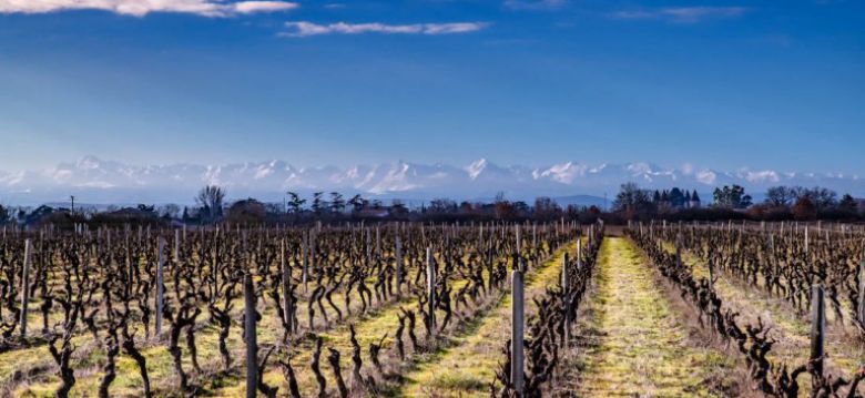 Domaine de Cadeillac