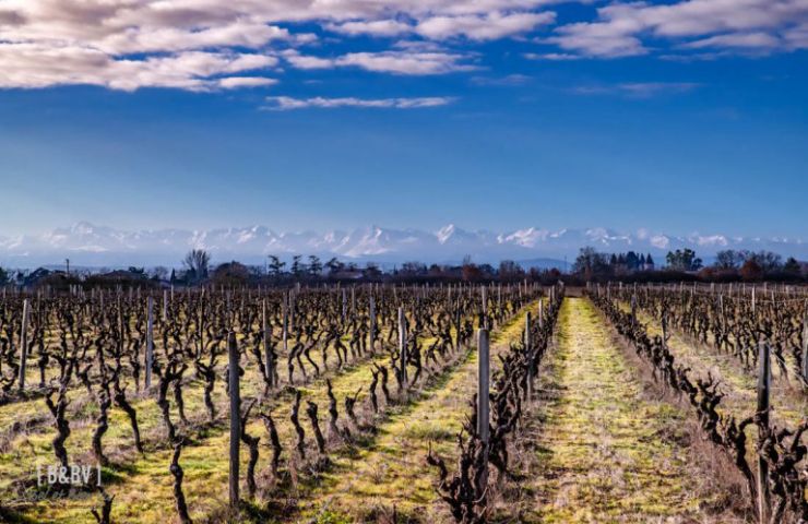 Domaine de Cadeillac