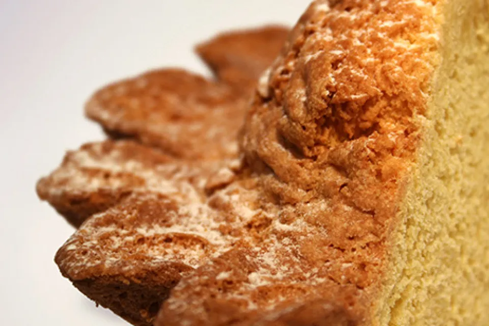Biscuiterie Vedere