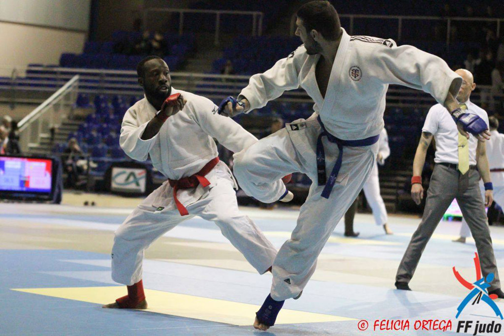 Toulouse Martial Arts Stadium