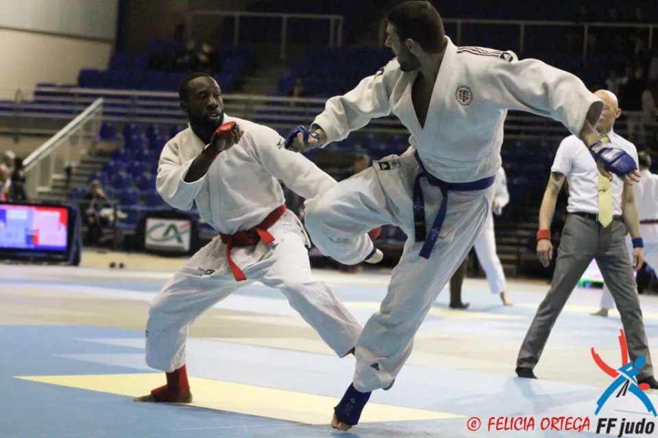 Toulouse Martial Arts Stadium