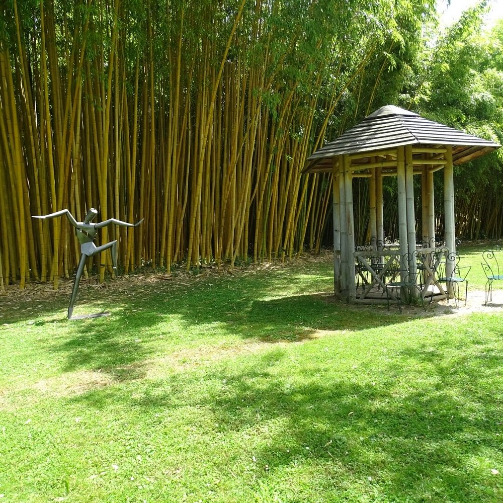 Parc aux Bambous