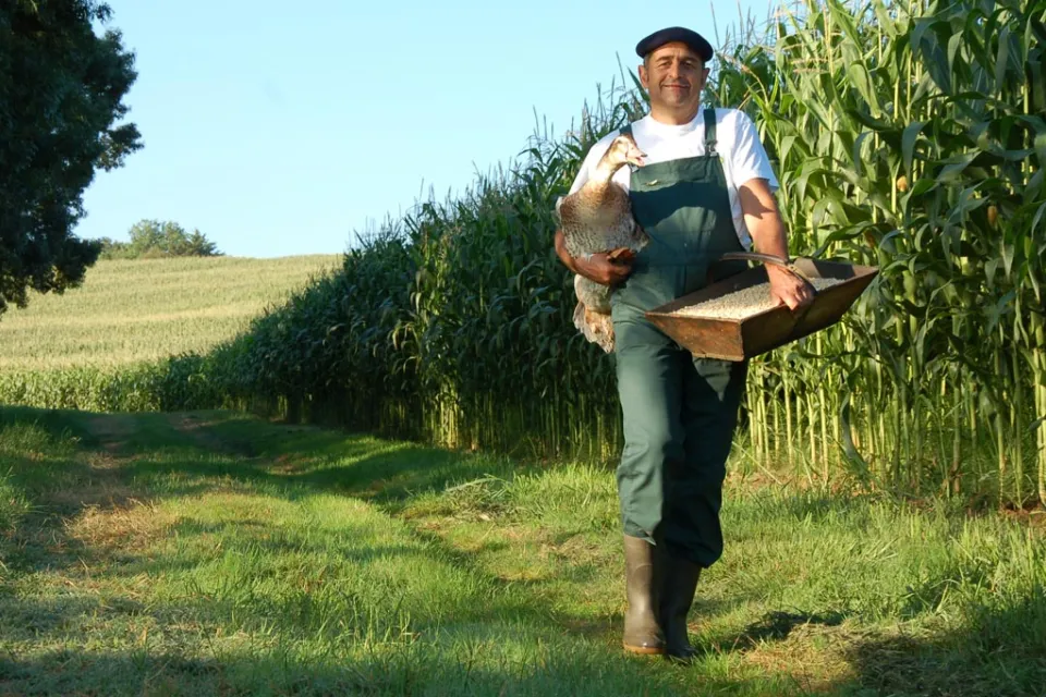 La Ferme d'en Siguès