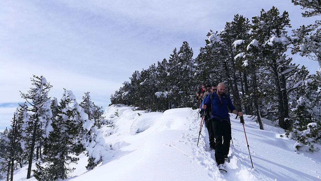 Bureau Des Guides Des Pyrénées Ariégeoises Theme Walks
