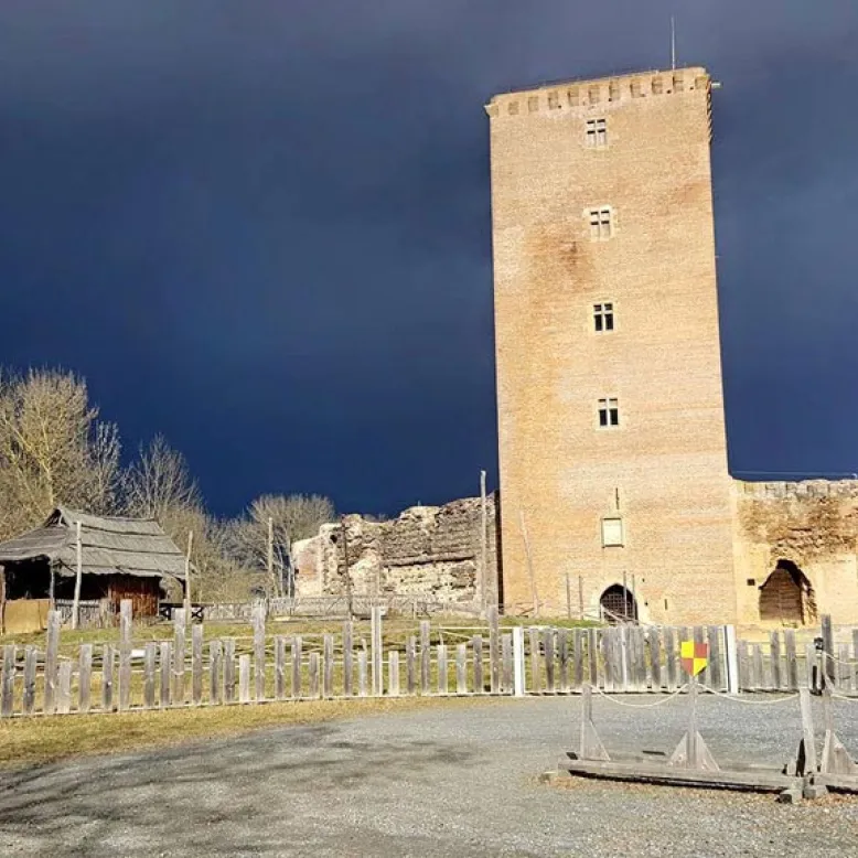 Château de Montaner