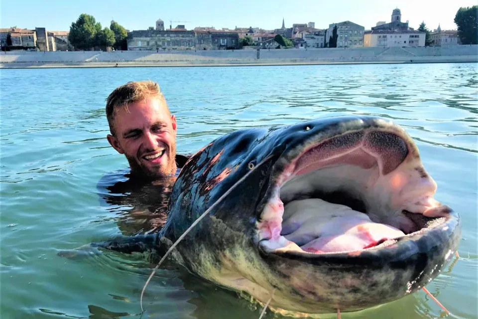 Garonne Monsters