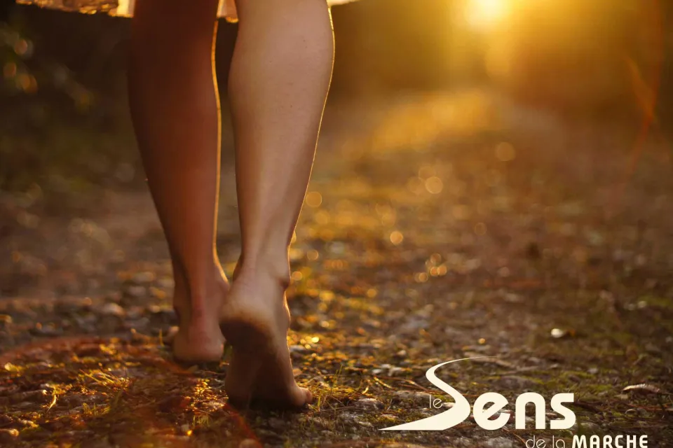 Le Sens de la Marche