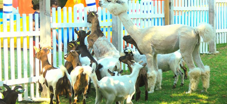 Bon'Air Farm