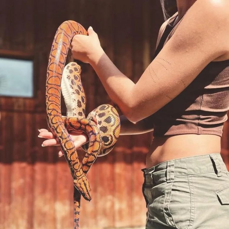 La Ferme des Reptiles
