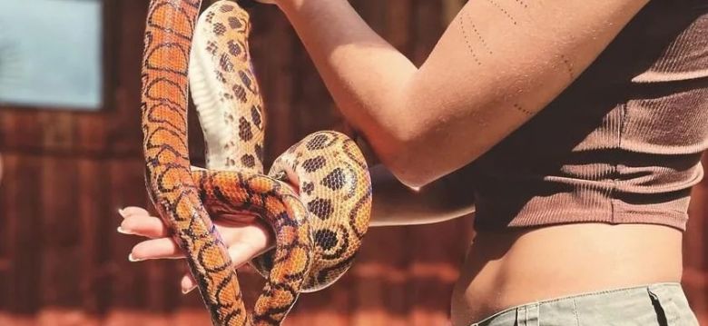 La Ferme des Reptiles