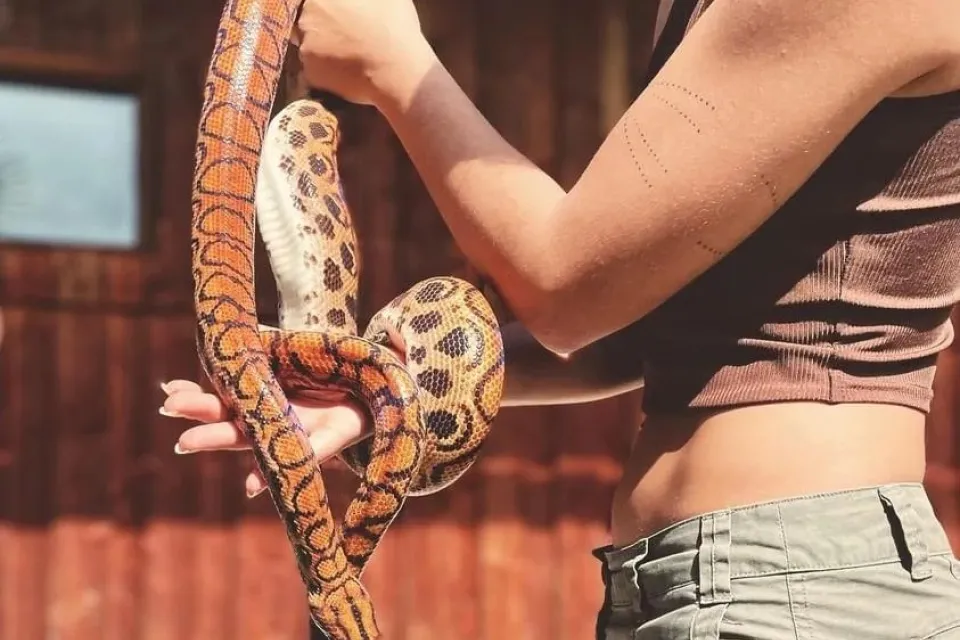 La Ferme des Reptiles