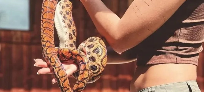La Ferme des Reptiles
