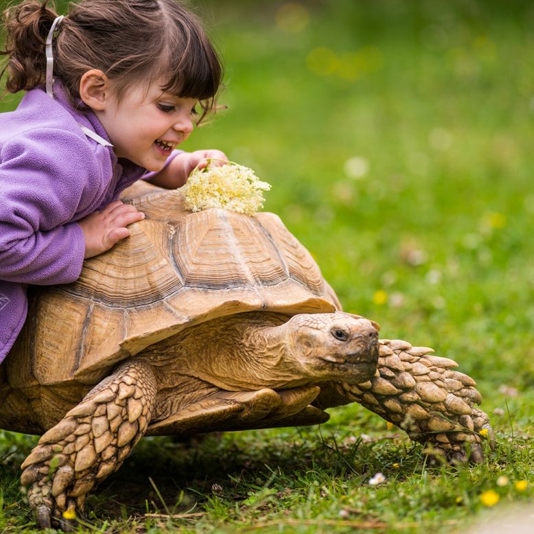 La Ferme des Reptiles
