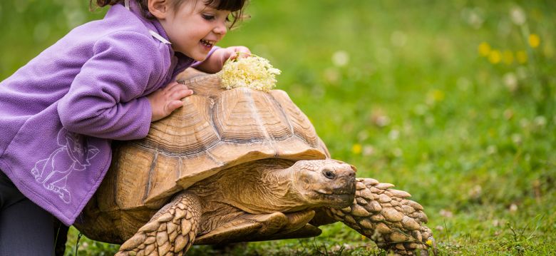 La Ferme des Reptiles