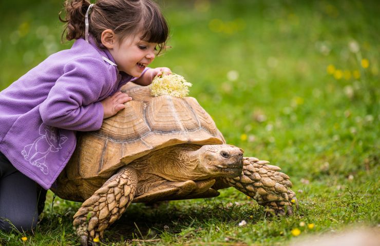 La Ferme des Reptiles