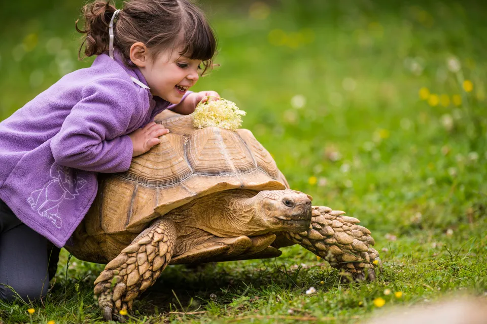 La Ferme des Reptiles