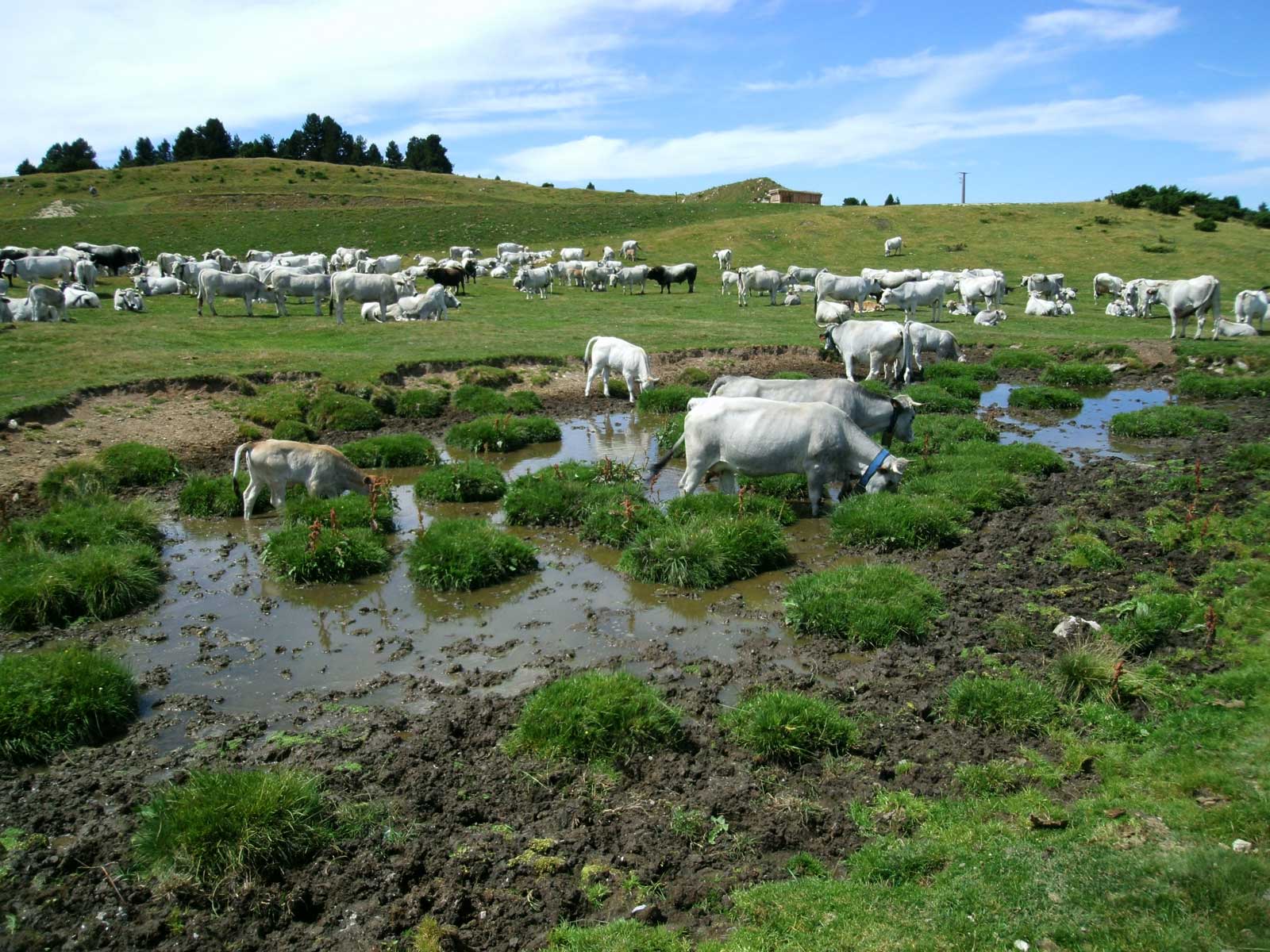 Beille mountain plateau