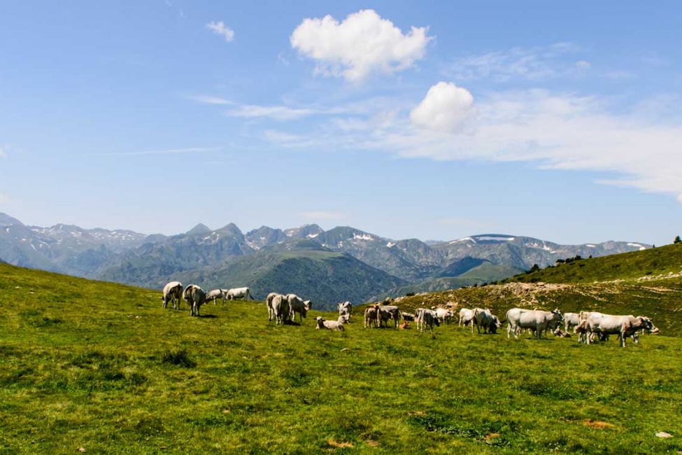 Le plateau de Beille Sites Naturels aux Cabannes Guide Toulouse Pyrénées Le plateau de Beille Sites Naturels aux Cabannes Guide Toulouse Pyrénées