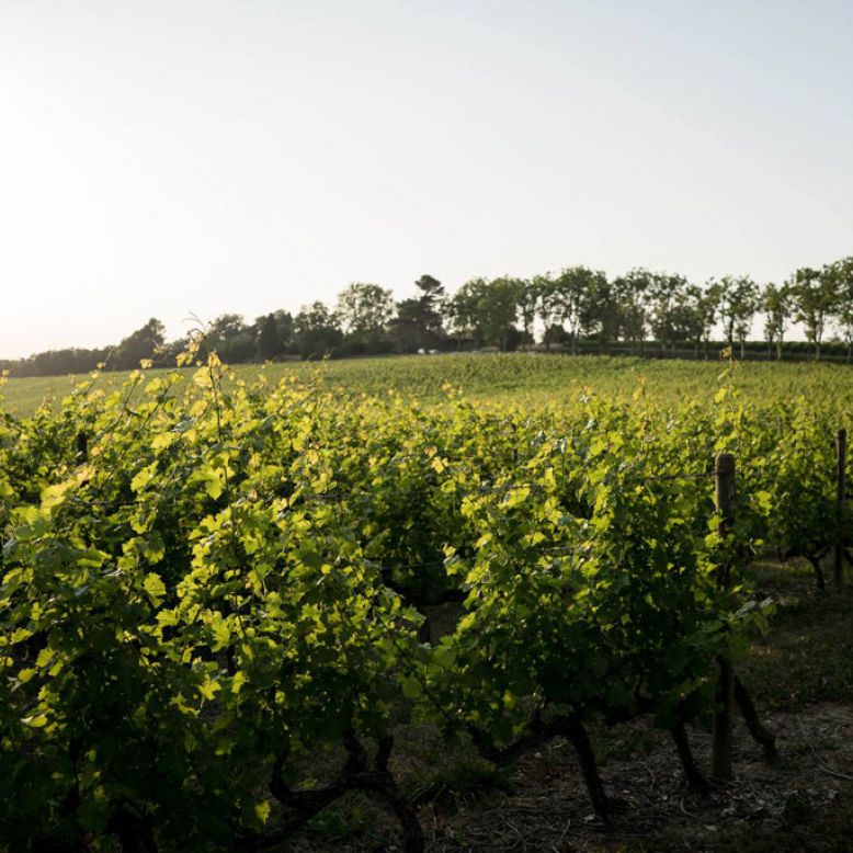 Domain of Lastronques