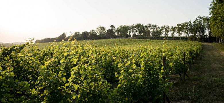 Domain of Lastronques