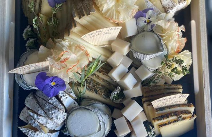 Blue Mouse Cheese Factory