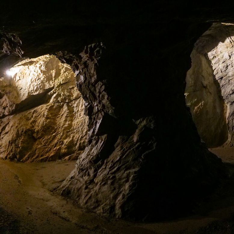 Les Grottes du Pic du Jer