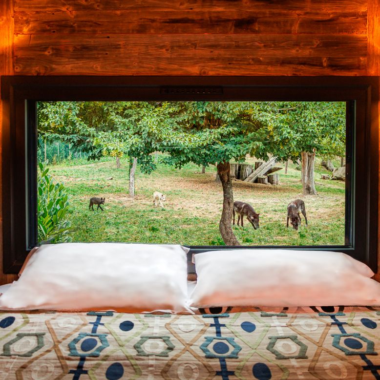 Eco Lodge Pyrénées Prestige