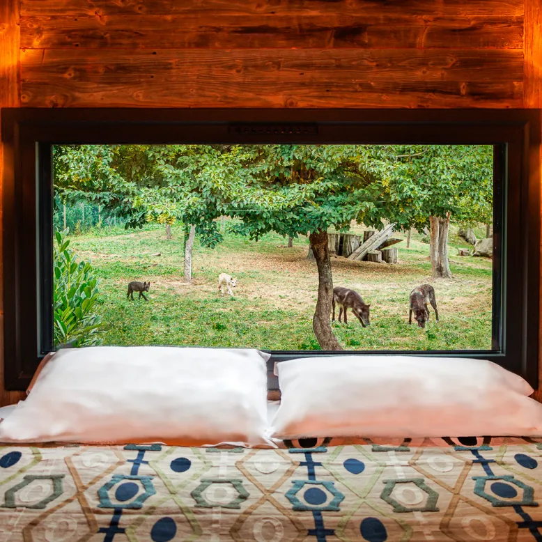 Eco Lodge Pyrénées Prestige