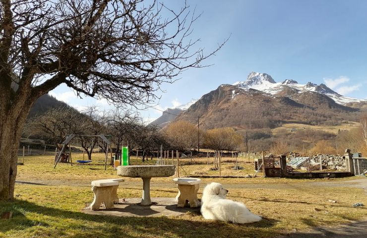 Aux d'Estaing Croisés