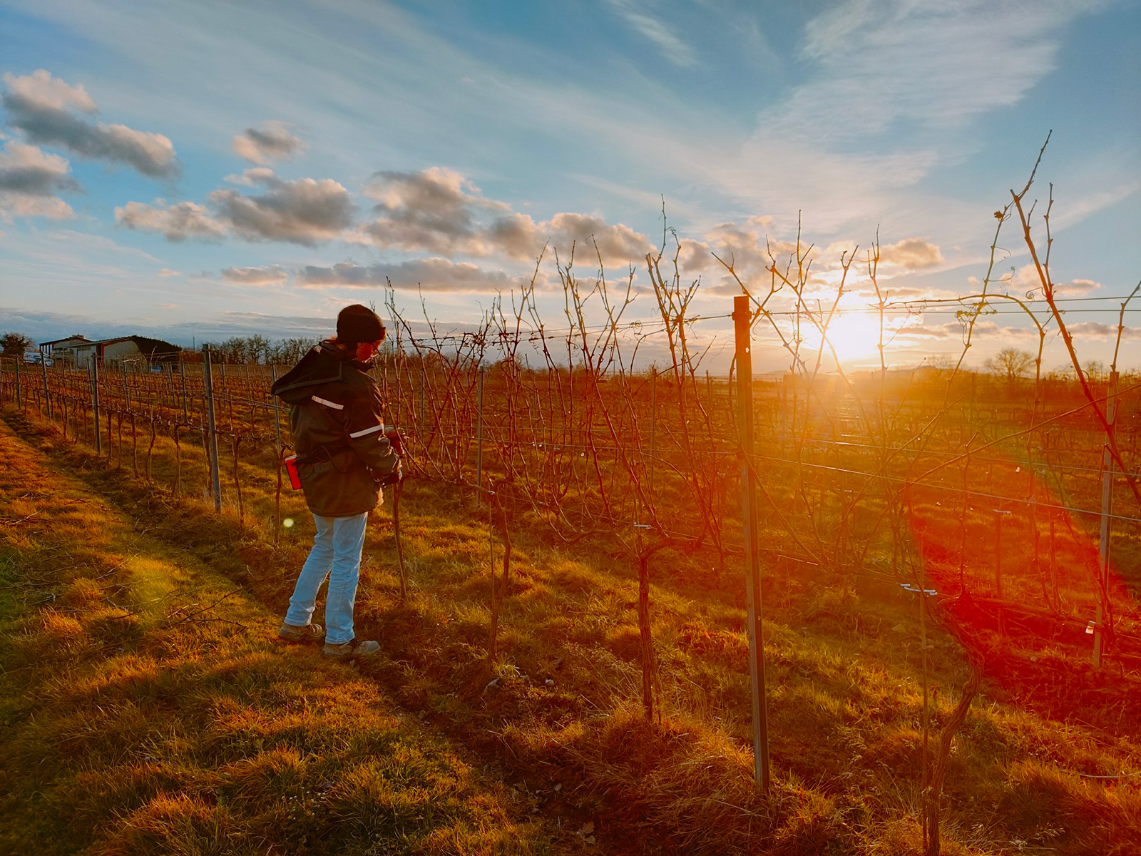 Domaine Le Montaltais